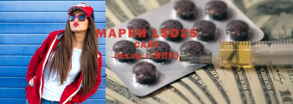 дурь Няндома