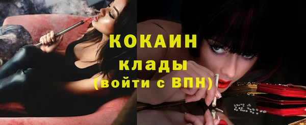 дурь Няндома
