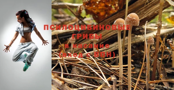дурь Няндома