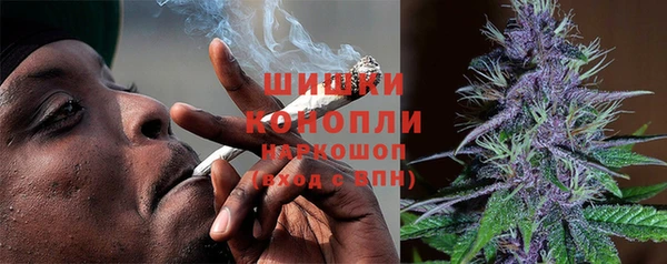 дурь Няндома