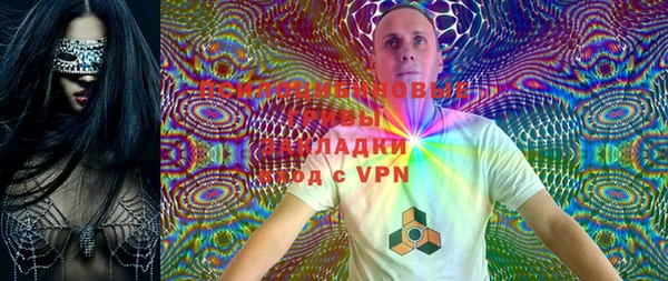 дурь Няндома