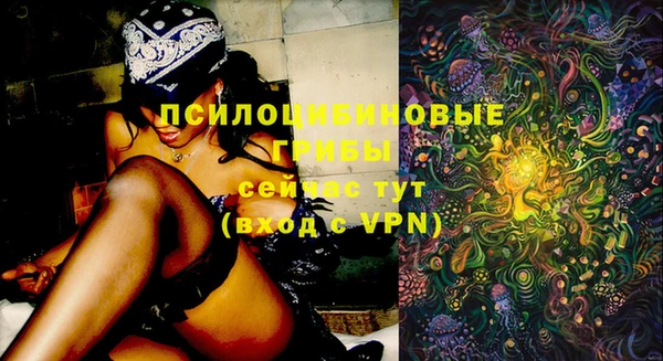 первитин Нягань