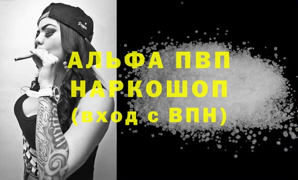 дурь Няндома