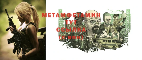 дурь Няндома