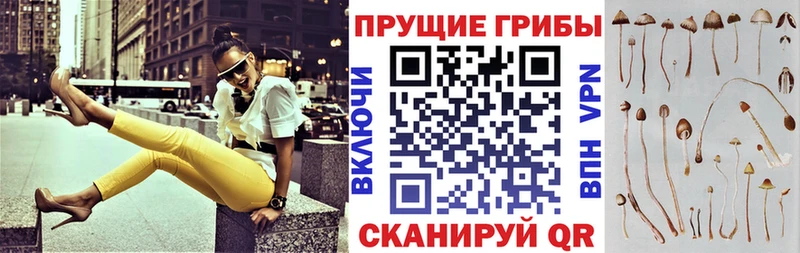 Галлюциногенные грибы прущие грибы  Ветлуга 